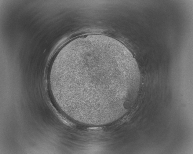 X0000055210053200508301332.png