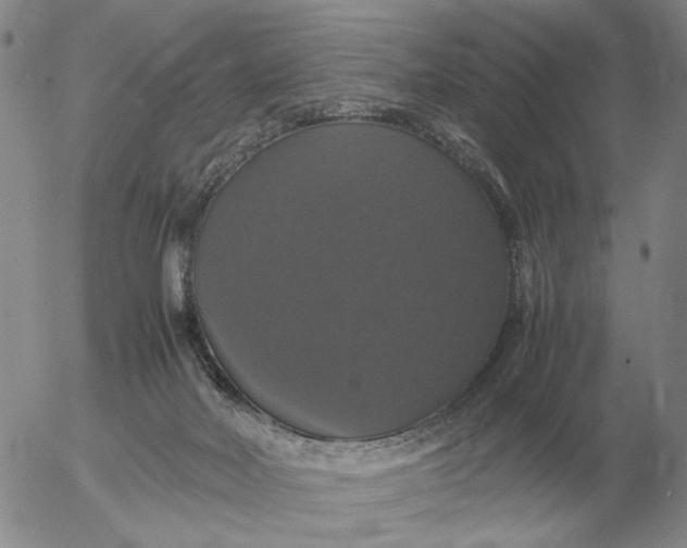 X0000054170026200508101811.png