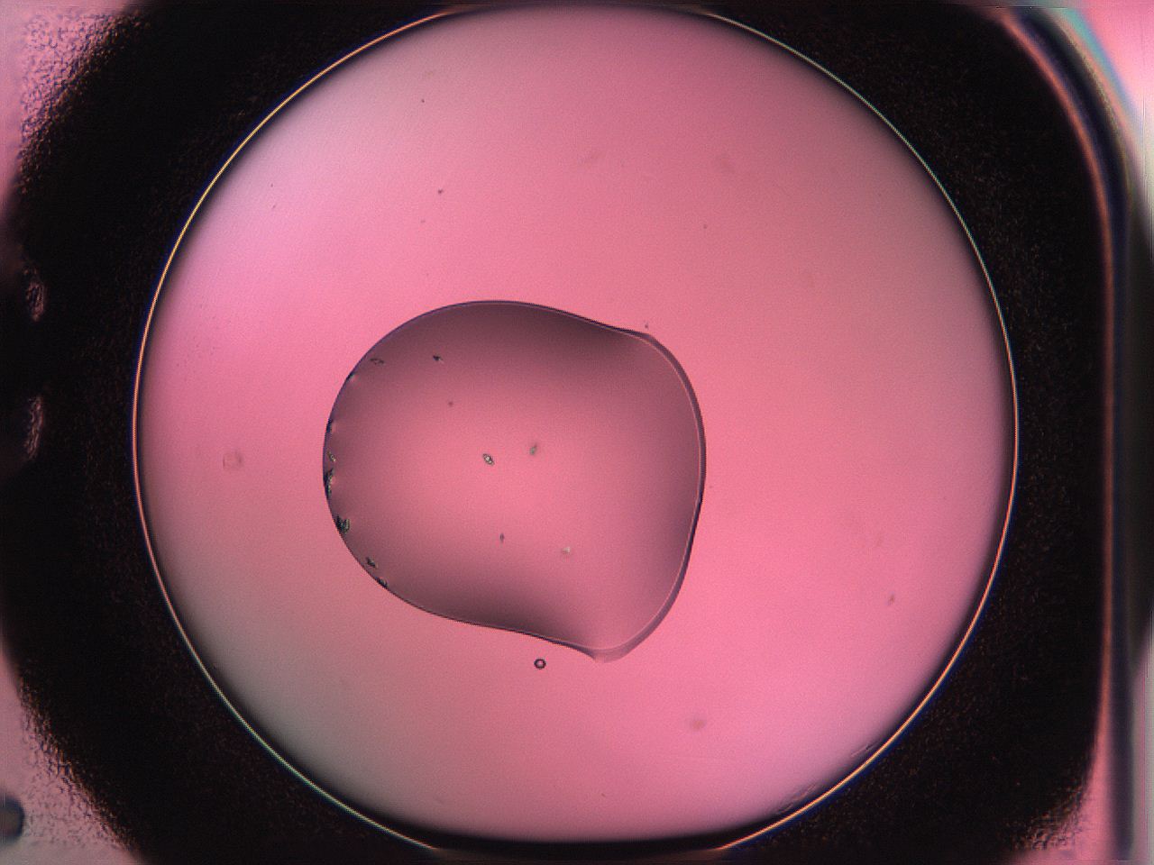 05dr_C5_ImagerDefaults_6.jpg