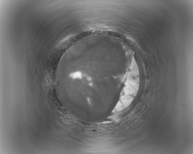X0000054351063200508190122.png