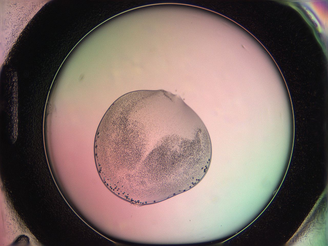 05dr_H11_ImagerDefaults_6.jpg
