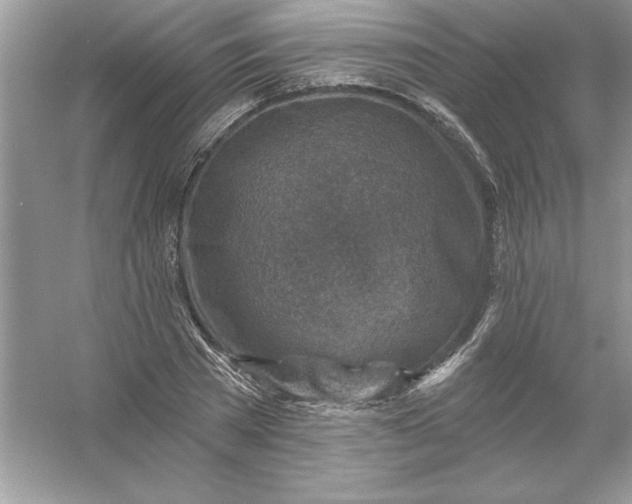 X0000054300785200508042309.png