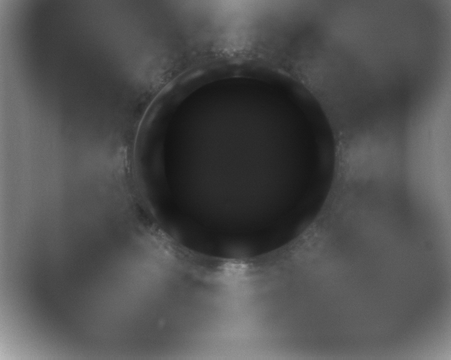 X0000054730227200508171900.png