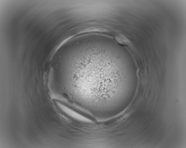 X0000054331369200508111908.png