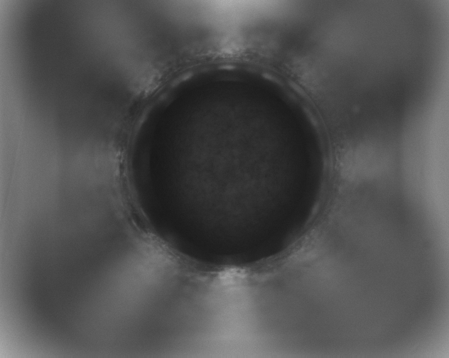 X0000054730366200508171858.png