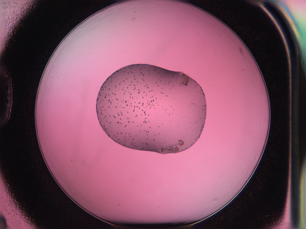 05ds_D3_ImagerDefaults_6.jpg