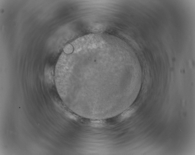 X0000054170240200508101807.png
