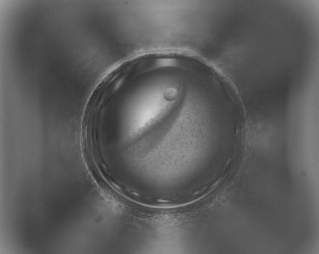 X0000052281229200507132020.png