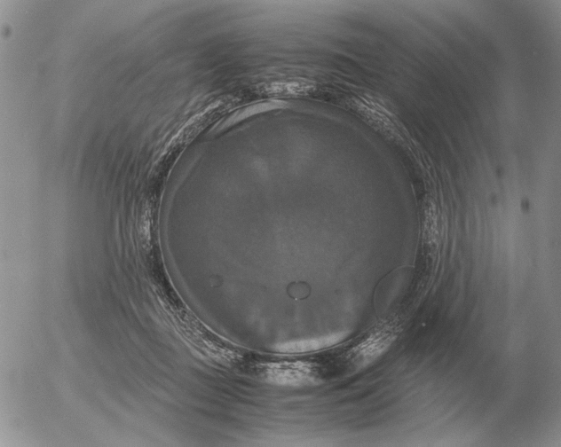 X0000054170363200508101805.png