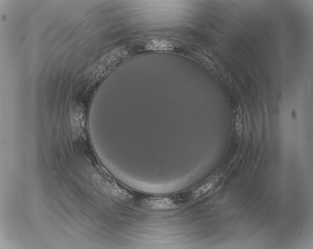 X0000054170322200508101806.png