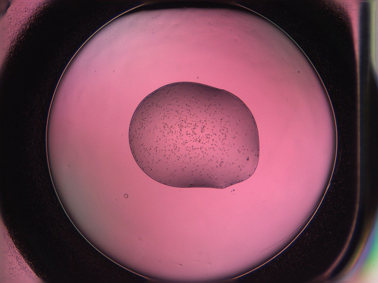 05ds_E3_ImagerDefaults_6.jpg