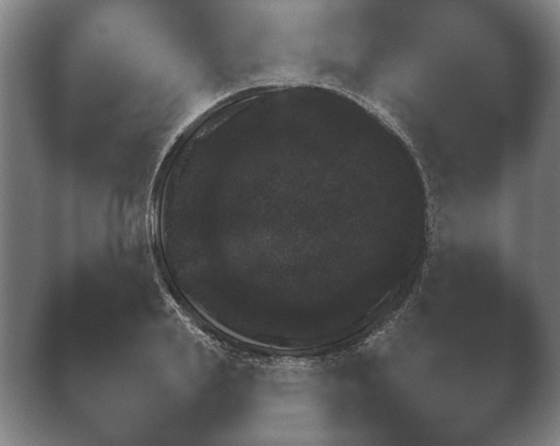 X0000038850839200410131826.png
