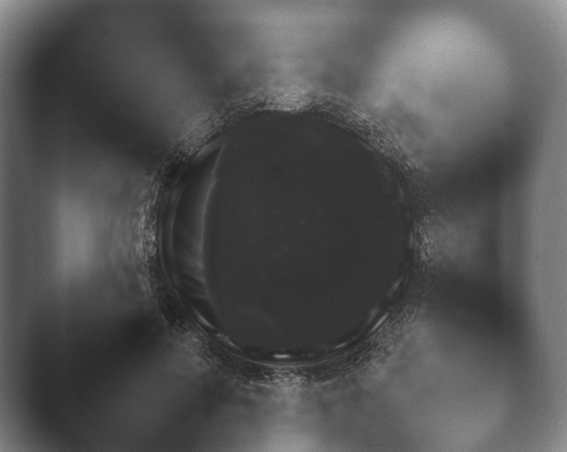 X0000045390598200501241405.png