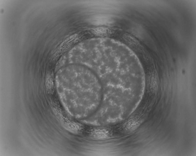 X0000054580702200508300101.png