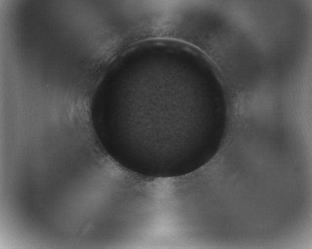 X0000054730138200508171901.png