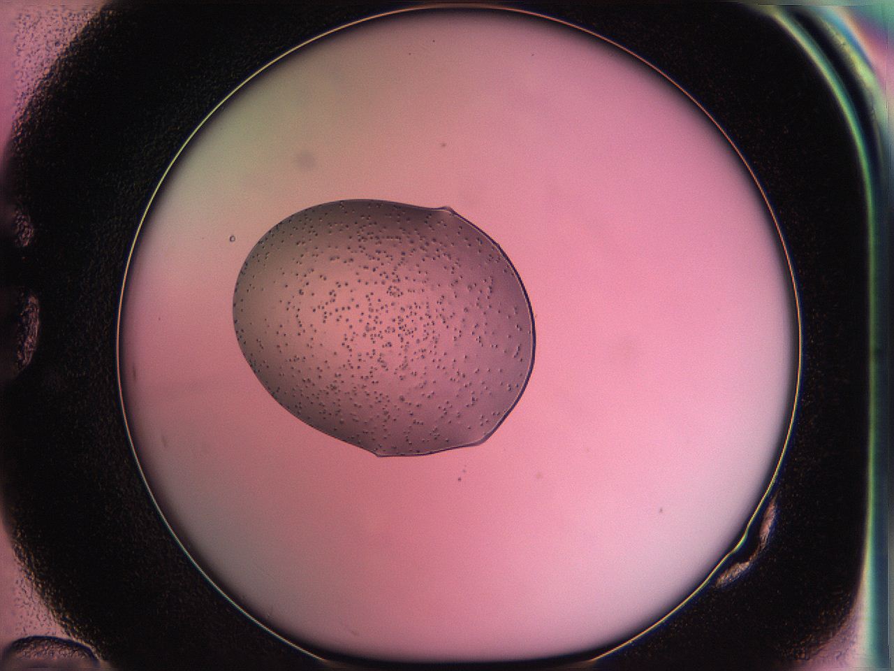 05ds_G10_ImagerDefaults_6.jpg