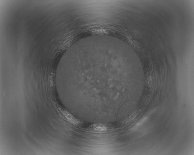 X0000055060658200508161647.png