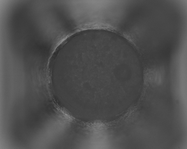 X0000051541071200506281733.png