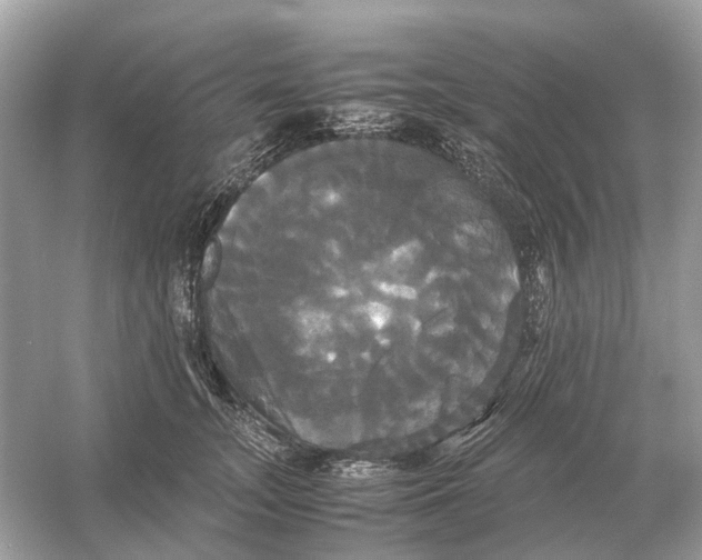 X0000054350755200508190128.png