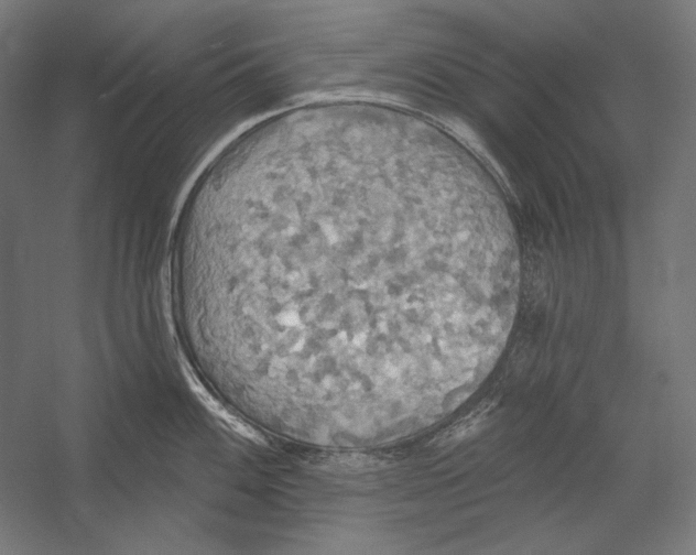 X0000055251100200509071609.png