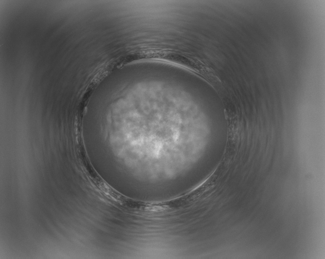 X0000055210716200508301322.png