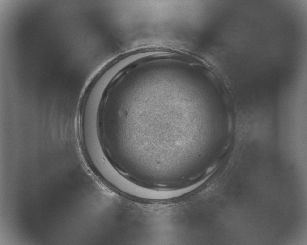 X0000052280796200507132027.png