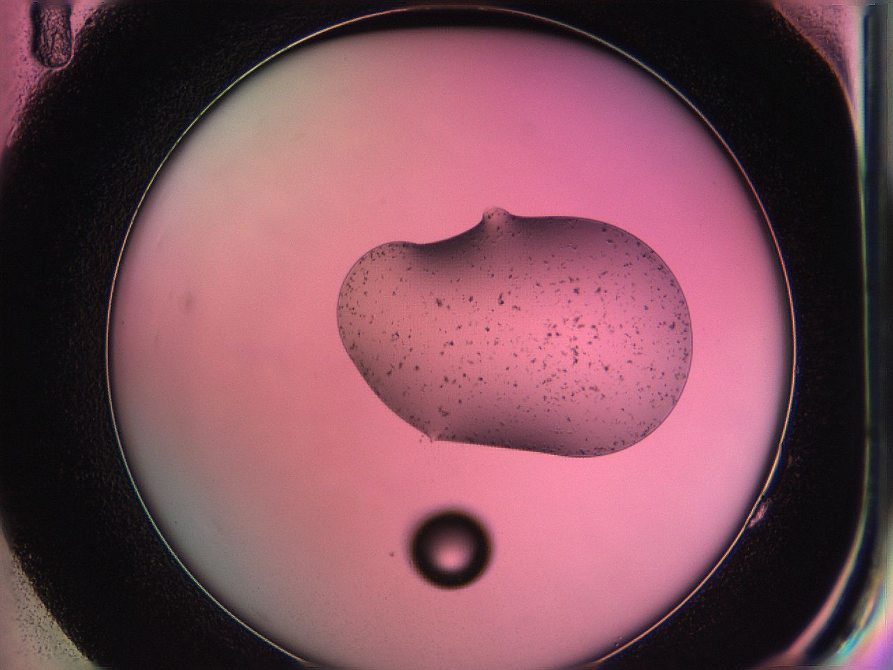 05ds_G11_ImagerDefaults_6.jpg