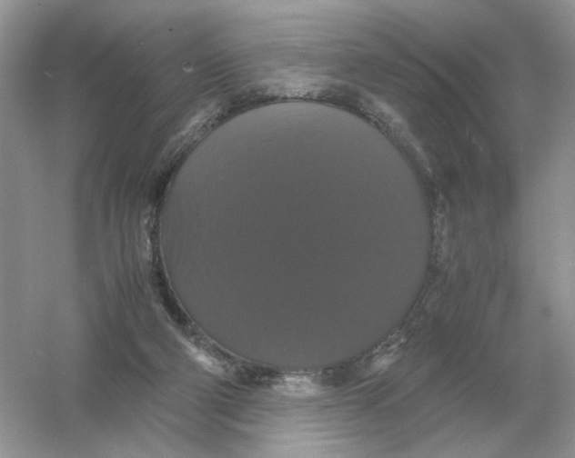 X0000054350114200508190138.png