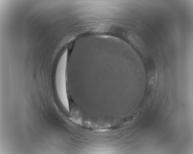 X0000054350685200508190129.png