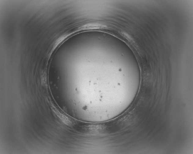 X0000055211465200508301309.png