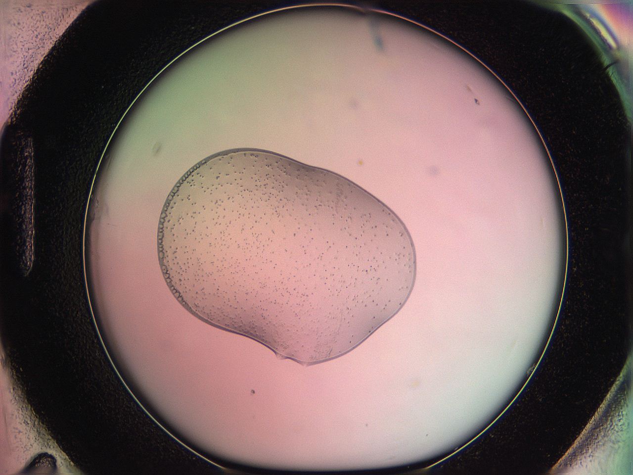 05ds_H11_ImagerDefaults_6.jpg