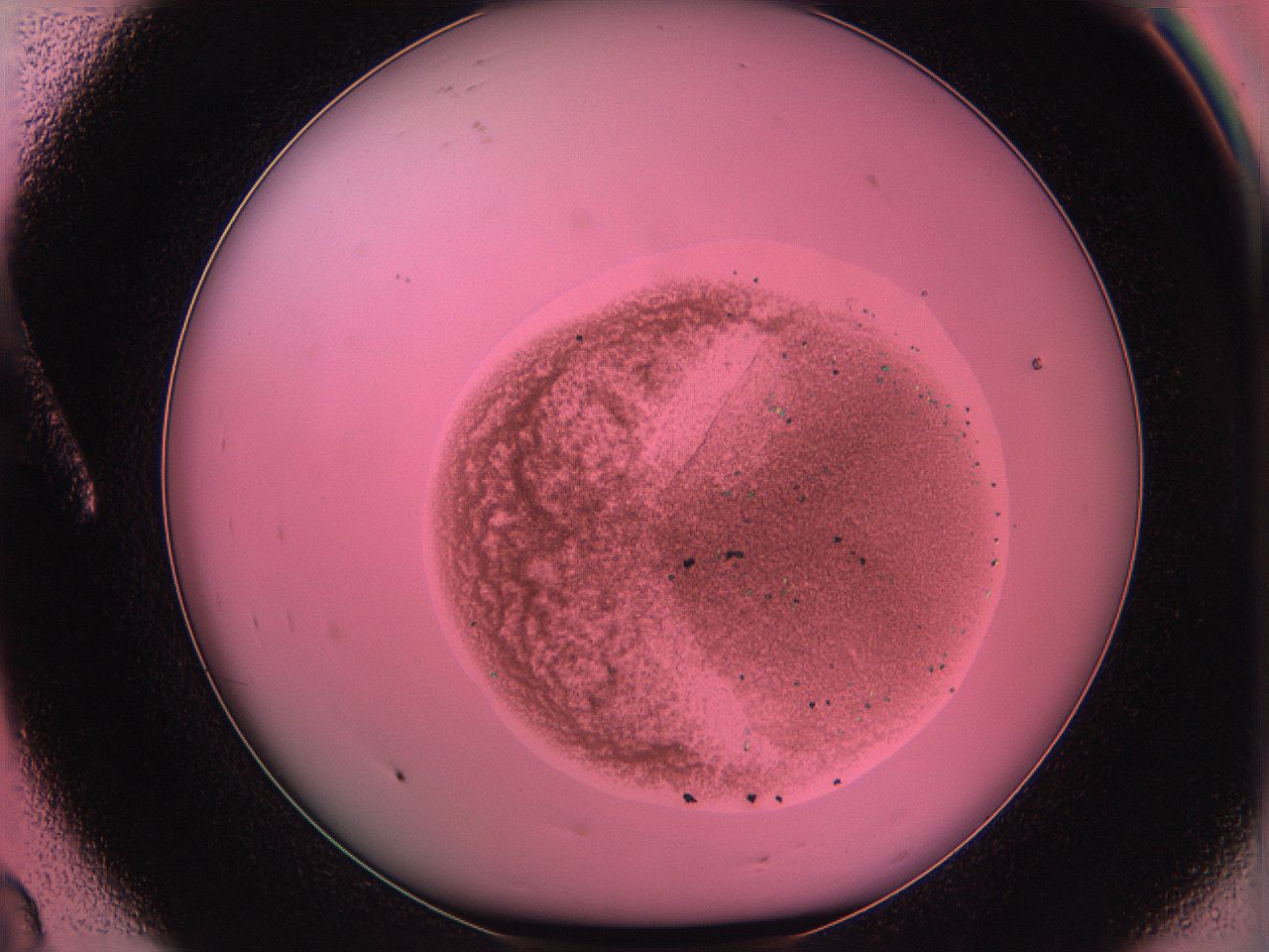 05dt_A8_ImagerDefaults_6.jpg