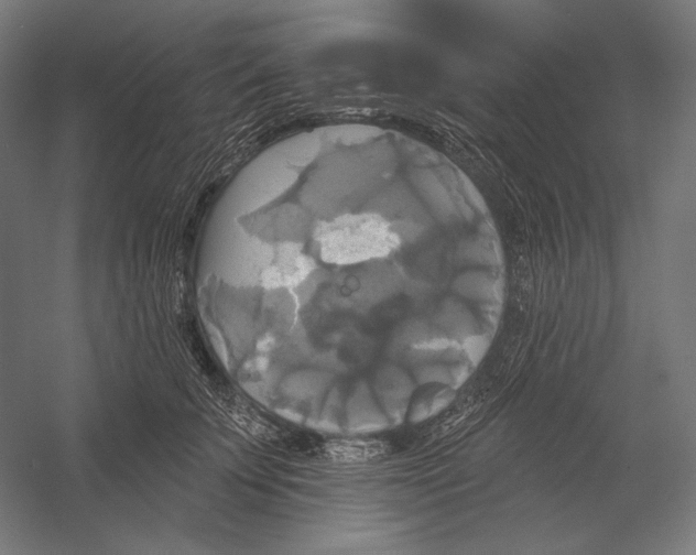 X0000055250707200509071615.png