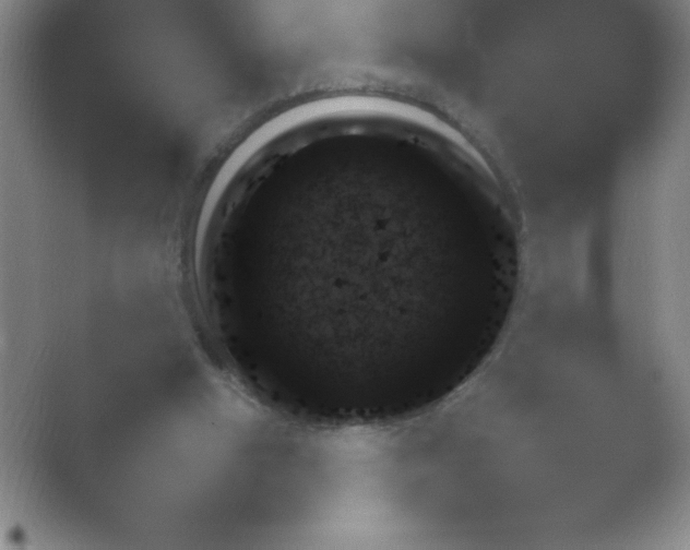 X0000054730058200508171902.png