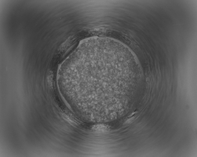 X0000055250231200509071624.png