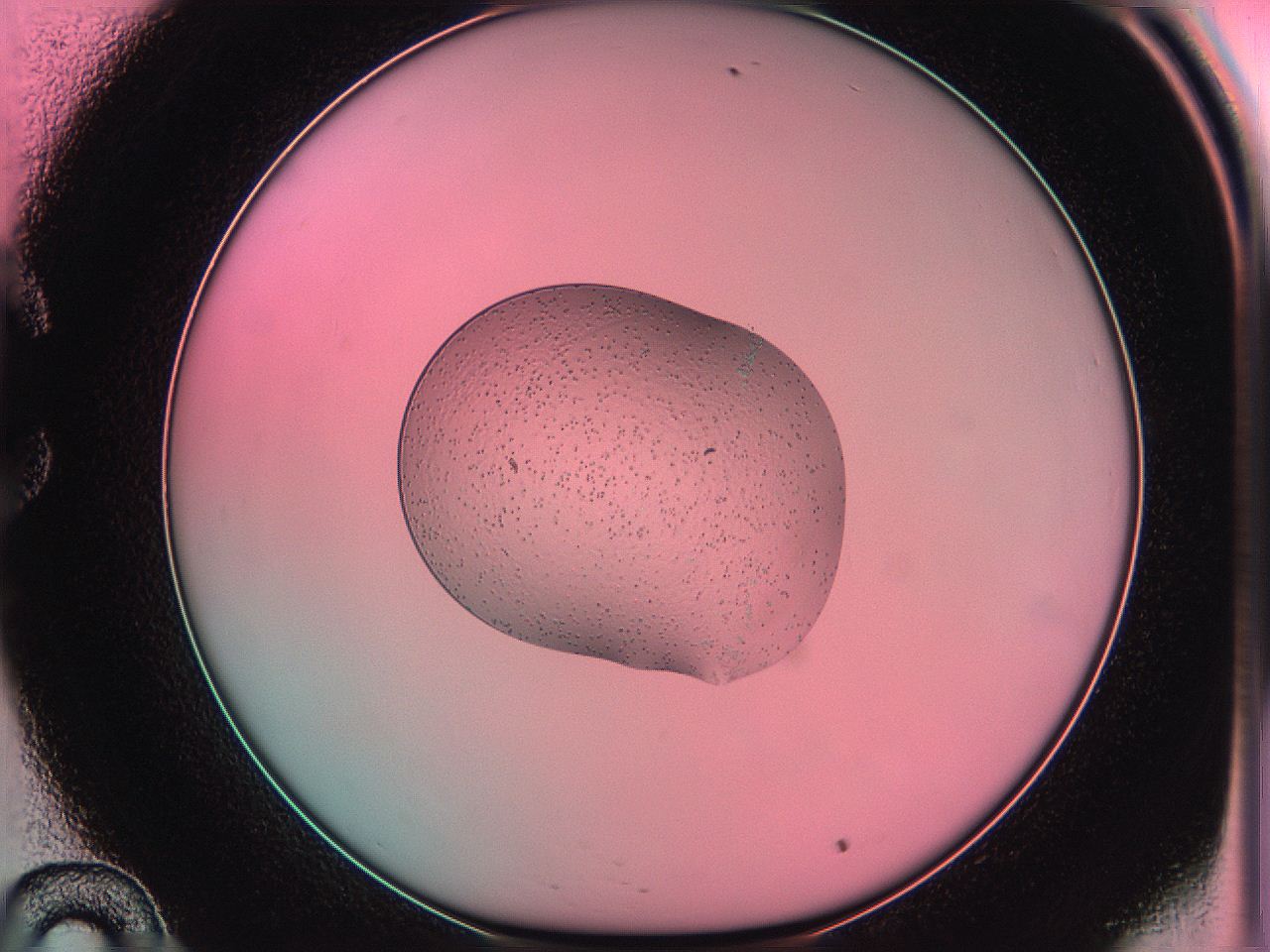 05dt_C10_ImagerDefaults_6.jpg
