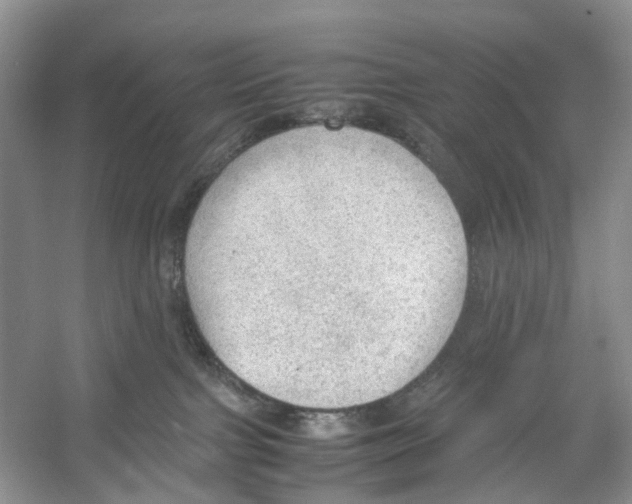 X0000054270091200508261927.png