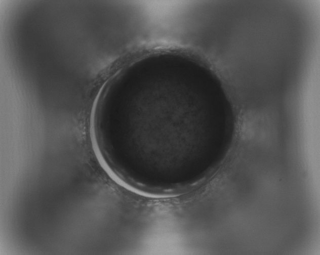 X0000054731301200508171841.png