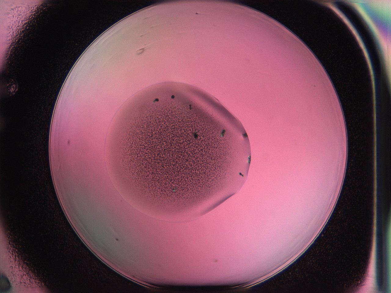 05dt_F6_ImagerDefaults_9.jpg