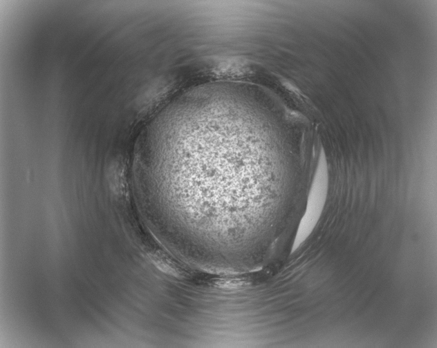 X0000054300619200508042312.png
