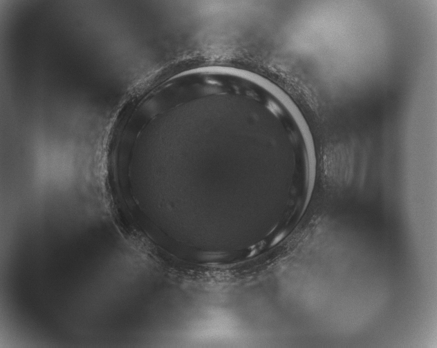 X0000045450492200502011700.png
