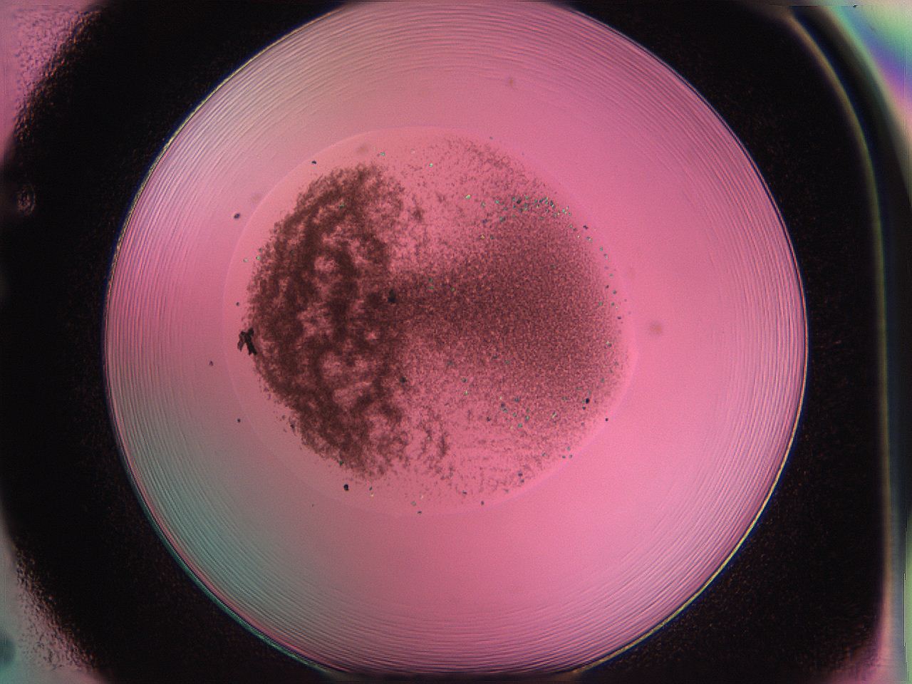 05dt_F5_ImagerDefaults_9.jpg