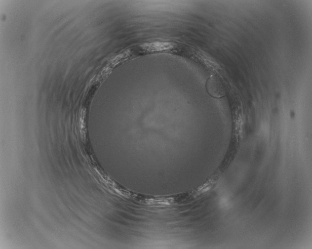 X0000054170373200508101805.png