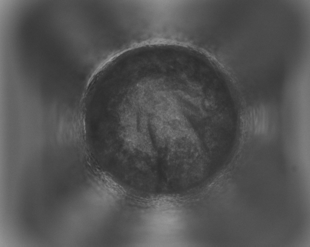 X0000051111262200507141747.png