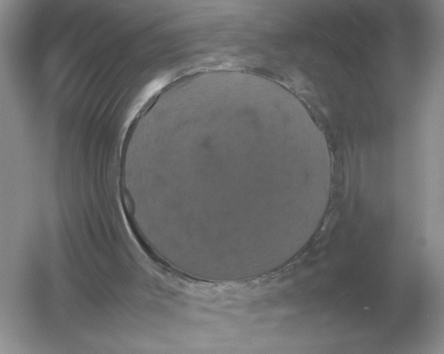 X0000054350003200508190140.png