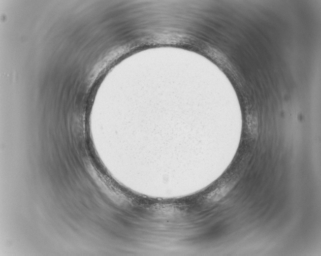 X0000054230534200508171514.png