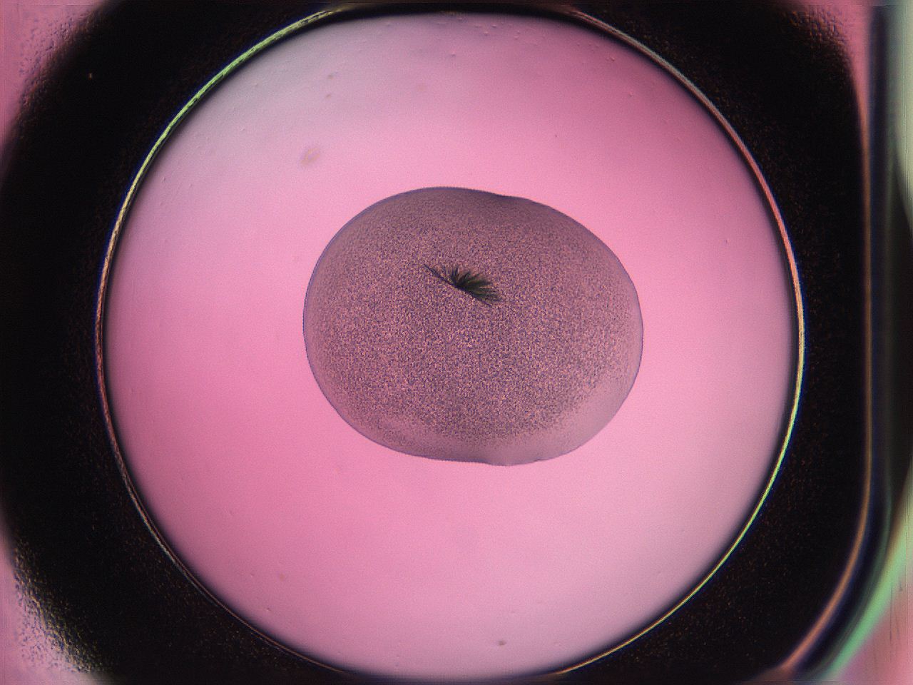 05du_C1_ImagerDefaults_6.jpg