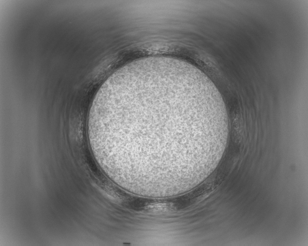 X0000054270499200508261920.png