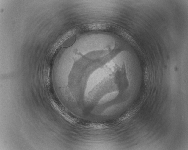 X0000054170490200508101803.png