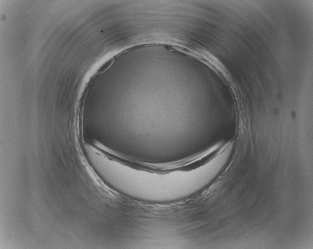 X0000054171144200508101753.png